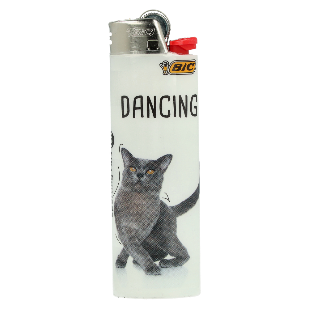 BIC Feuerzeug Sporting Cats Dancing 6v8