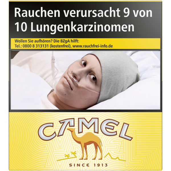 Camel Yellow 6XL (4x53)