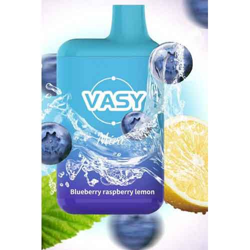 Vasy Mini Blueberry Raspberry Lemon Einweg E-Shisha 20mg