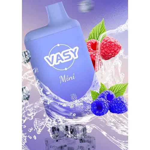 Vasy Mini Mr. Blue Einweg E-Shisha 20mg