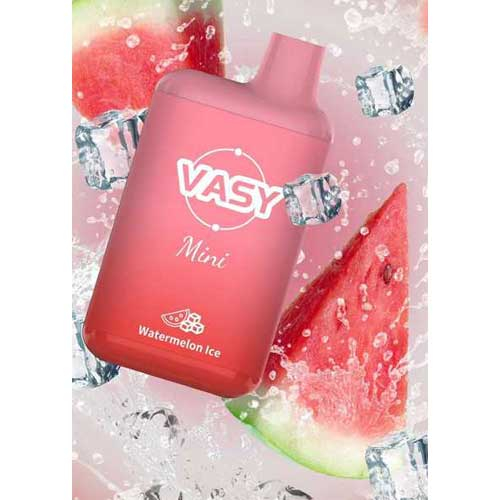 Vasy Mini Watermelon Ice Einweg E-Shisha 20mg