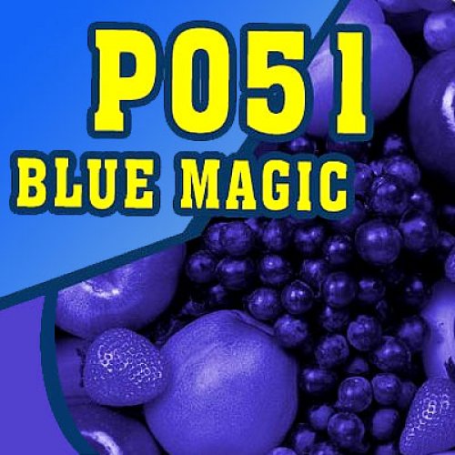 P051 - 325ml Shisha Molasse - Blue Magic