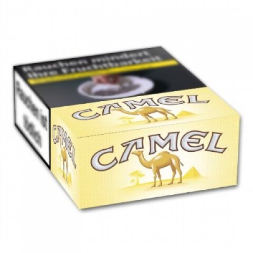 Einzelpackung Camel L (1x20)