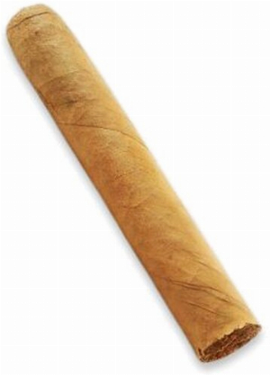 5TH GENERATION Coronita Sumatra