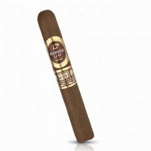 Aganorsa Leaf Rare Leaf Corojo Toro Zigarre 1 Stk.