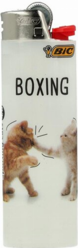 BIC Feuerzeug Sporting Cats Boxing 4v8