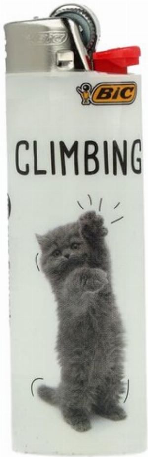 BIC Feuerzeug Sporting Cats Climbing 2v8