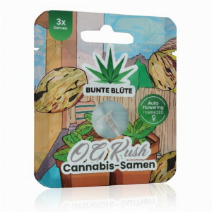 Bunte Blüte OG Kush THC Cannabis-Samen 3 Samen