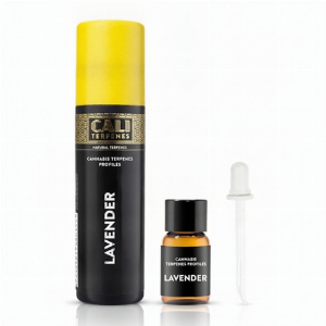 Cali Terpenes Lavender Aroma 1ml