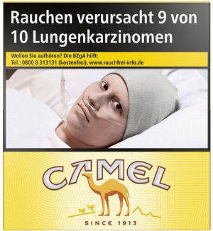 Camel Yellow 6XL 56er