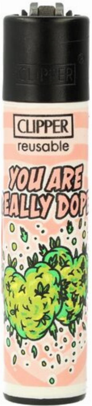 Clipper Feuerzeug Herbalicious 2v4