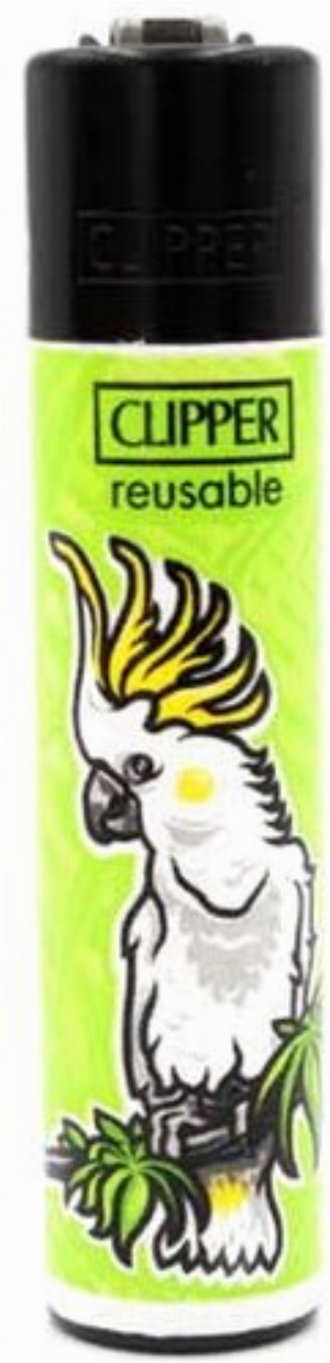 Clipper Feuerzeug Paradiesvogel 2v4