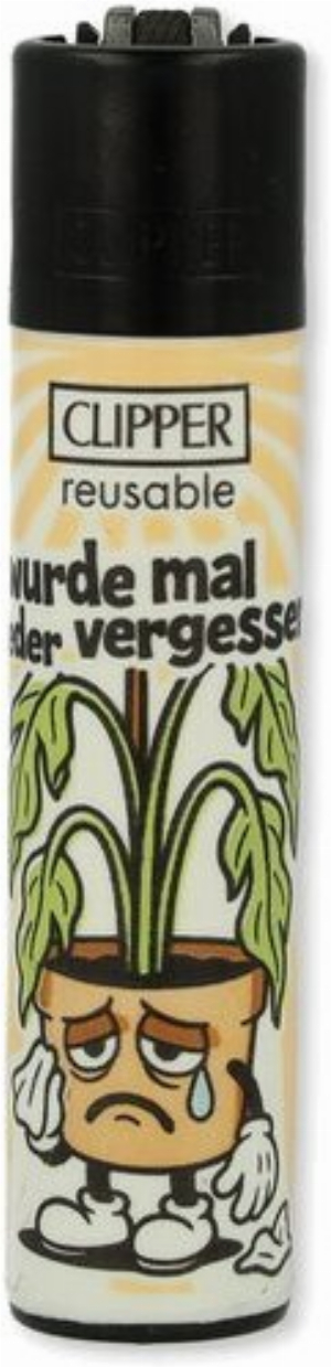 Clipper Feuerzeuge Zimmerpflanzen 4v4