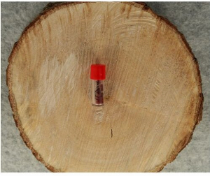 Dupont rot Feuerzeugsteine