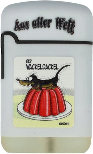 Easy Torch Feuerzeug Aus aller Welt 2v4