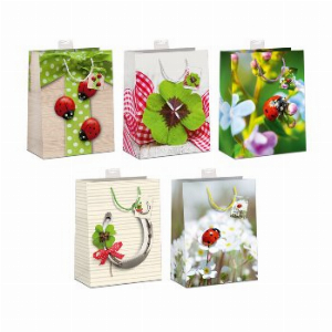 Geschenktüte Glücks Motive 3 Marien Käfer