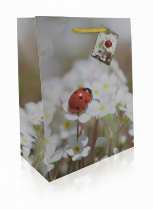 Geschenktüte Glücks Motive 1 Marienkäfer