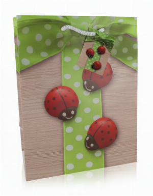 Geschenktüte Glücks Motive 3 Marien Käfer