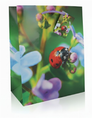 Geschenktüte Glücks Motive Blumen mit Marienkäfer