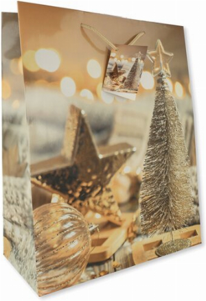 Geschenktüte Stern TBH 26x32x12cm 1 Stk.