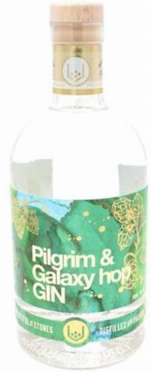 Gin Pilgrim & Galaxy hop 40% Vol.