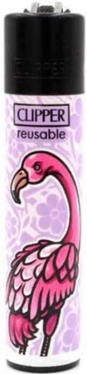 Clipper Feuerzeug Paradiesvogel 4v4