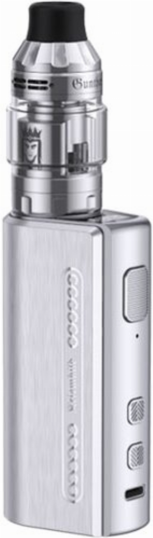 Kriemhild E-Zigarette 80 Watt im Set silber