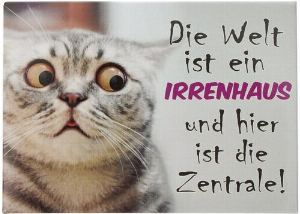 Kühlschrankmagnet Die Welt ist ein IRRENHAUS und hier ist die Zentrale! 9x6,5cm