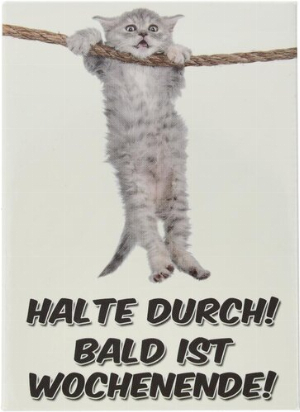 Kühlschrankmagnet HALTE DURCH! BALD IST WOCHENENDE! 9x6,5cm