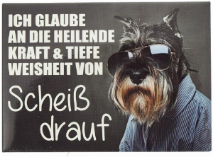Kühlschrankmagnet ICH GLAUBE AN DIE HEILENDE KRAFT & TIEFE WEISHEIT VON SCHEIß DRAUF 9x6,5cm