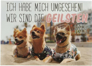 Kühlschrankmagnet ICH HABE MICH UMGESEHEN! WIR SIND DIE GEILSTEN HIER 9x6,5cm