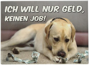 Kühlschrankmagnet ICH WILL NUR GELD, KEINEN JOB! 9x6,5cm