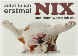 Kühlschrankmagnet Jetzt tu ich erstmal NIX und dann warte ich ab. 9x6,5cm