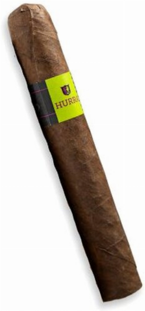 Les Privatiers HWLN Robusto Maduro Zigarre 1 Stk.