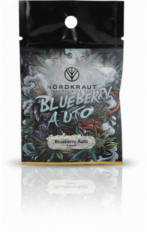 Nordkraut Blueberry Auto Cannabis-Samen 3 Stück