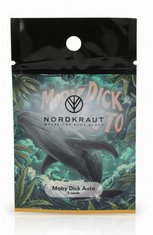 Nordkraut Moby Dick Auto Cannabis-Samen 3 Stück