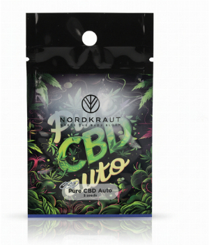 Nordkraut Pure CBD Auto Cannabis-Samen 3 Stück