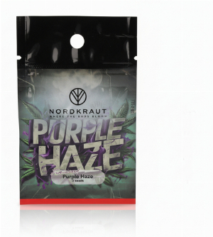 Nordkraut Purple Haze Cannabis-Samen 3 Stück