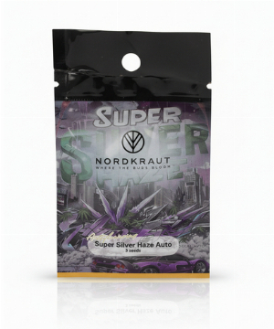 Nordkraut Super Silver Haze Auto Cannabis-Samen 3 Stück