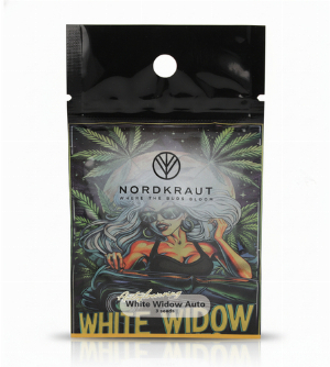 Nordkraut White Window Auto Cannabis-Samen 3 Stück