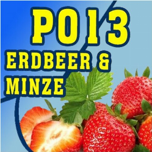 P013 - 325ml Shisha Molasse - Erdbeere und Minze
