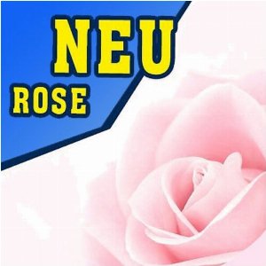 P902 - 325ml Shisha Molasse - Rose