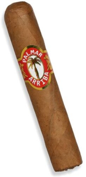 Palmar Arriba Petit Robusto Zigarre 1 Stk.