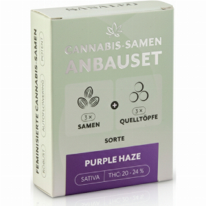 SANALEO Anbauset Purple Haze
