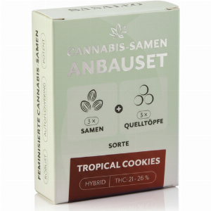 SANALEO Anbauset Tropical Cookies