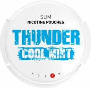 Thunder Slim Cool Mint Nicopods