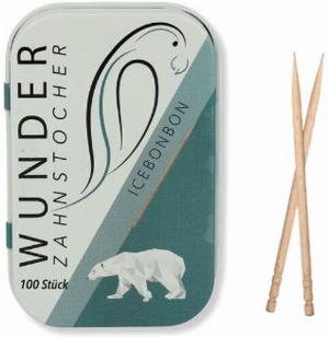 Zahnstocher mit Geschmack Icebonbon 100 Stück