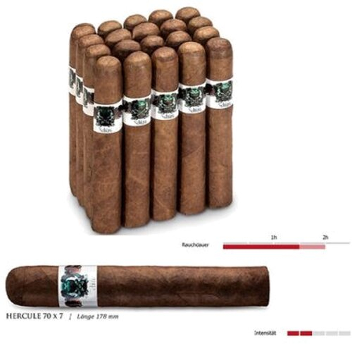 Asylum Schizo Zigarren Hercule 70x7 1 Stück Asylum Schizo Zigarren Hercule 70x7 1 Stück