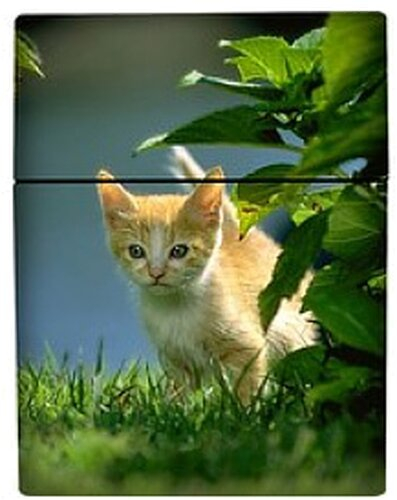 Atomic Zigarettenbox 25er Motiv Katze im Gras