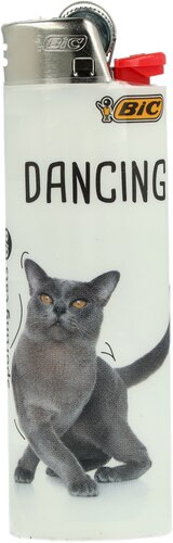 BIC Feuerzeug Sporting Cats Dancing 6v8 BIC Feuerzeug Sporting Cats Dancing 6v8